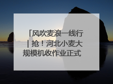 风吹麦浪一线行｜抢！河北小麦大规模机收作业正式拉开帷幕