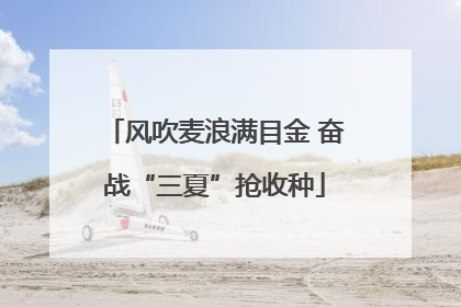 风吹麦浪满目金 奋战“三夏”抢收种