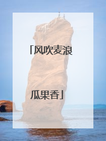 风吹麦浪 瓜果香