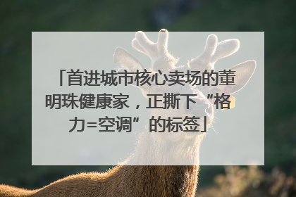 首进城市核心卖场的董明珠健康家，正撕下“格力=空调”的标签