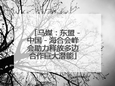马媒：东盟－中国－海合会峰会助力释放多边合作巨大潜能