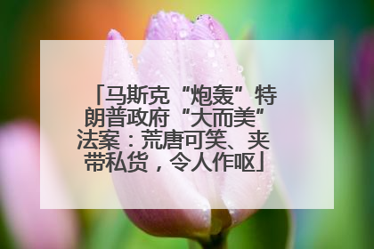 马斯克“炮轰”特朗普政府“大而美”法案：荒唐可笑、夹带私货，令人作呕