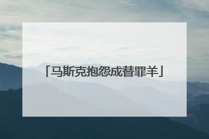 马斯克抱怨成替罪羊