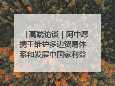 高端访谈｜阿中愿携手维护多边贸易体系和发展中国家利益——访阿拉伯议会议长亚马希