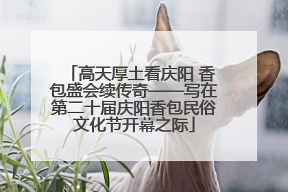 高天厚土看庆阳 香包盛会续传奇——写在第二十届庆阳香包民俗文化节开幕之际