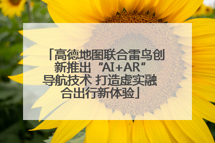 高德地图联合雷鸟创新推出“AI+AR”导航技术 打造虚实融合出行新体验