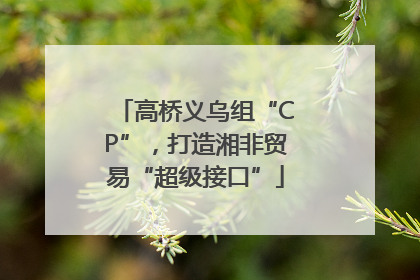 高桥义乌组“CP”，打造湘非贸易“超级接口”