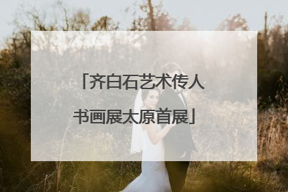 齐白石艺术传人书画展太原首展