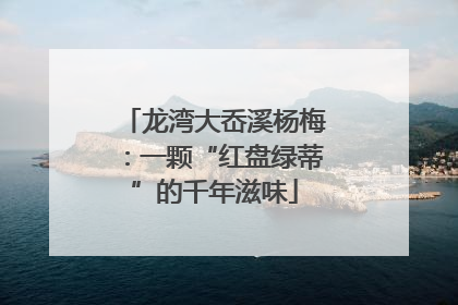 龙湾大岙溪杨梅：一颗“红盘绿蒂”的千年滋味