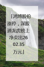 鸿博股份涨停，深股通龙虎榜上净卖出2602.35万元
