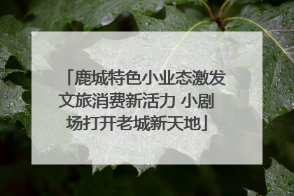 鹿城特色小业态激发文旅消费新活力 小剧场打开老城新天地