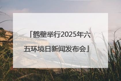 鹤壁举行2025年六五环境日新闻发布会