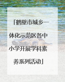 鹤壁市城乡一体化示范区各中小学开展学科素养系列活动