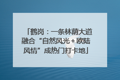 鹤岗：一条林荫大道融合“自然风光＋欧陆风情”成热门打卡地