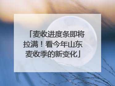 麦收进度条即将拉满！看今年山东麦收季的新变化