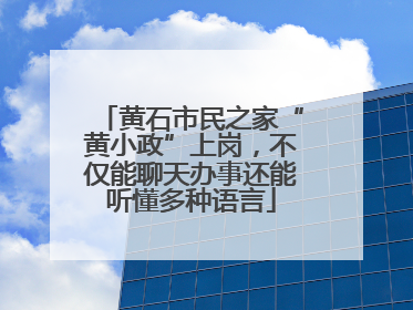黄石市民之家“黄小政”上岗，不仅能聊天办事还能听懂多种语言