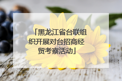 黑龙江省台联组织开展对台招商经贸考察活动