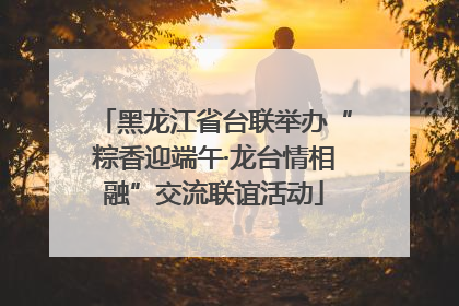 黑龙江省台联举办“粽香迎端午·龙台情相融”交流联谊活动
