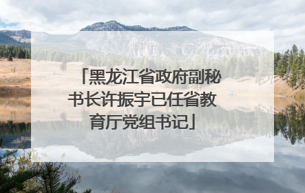 黑龙江省政府副秘书长许振宇已任省教育厅党组书记