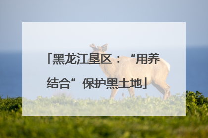 黑龙江垦区：“用养结合”保护黑土地