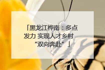 黑龙江桦南：多点发力 实现人才乡村“双向奔赴”