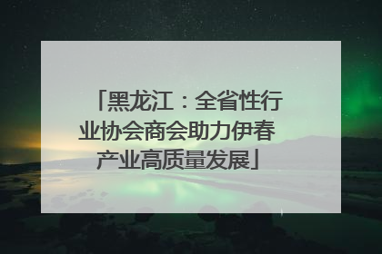 黑龙江：全省性行业协会商会助力伊春产业高质量发展