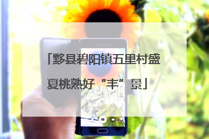 黟县碧阳镇五里村盛夏桃熟好“丰”景