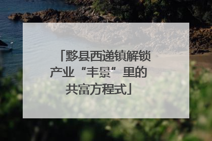 黟县西递镇解锁产业“丰景”里的共富方程式