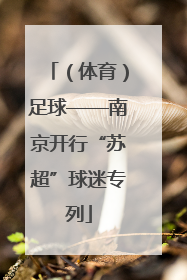 （体育）足球——南京开行“苏超”球迷专列