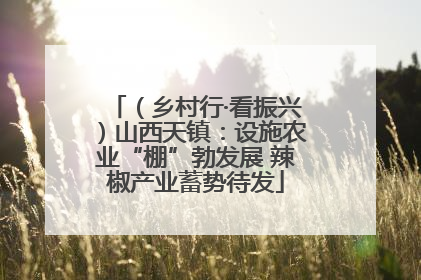 （乡村行·看振兴）山西天镇：设施农业“棚”勃发展 辣椒产业蓄势待发