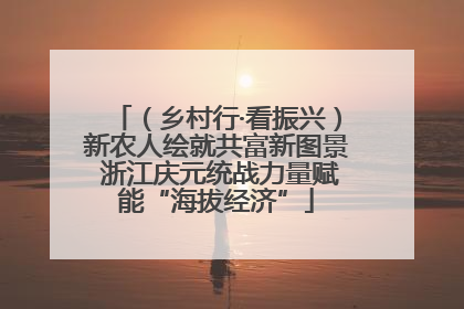 （乡村行·看振兴）新农人绘就共富新图景 浙江庆元统战力量赋能“海拔经济”