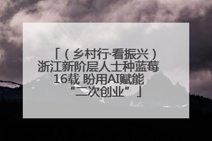 （乡村行·看振兴）浙江新阶层人士种蓝莓16载 盼用AI赋能“二次创业”
