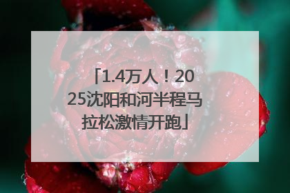 1.4万人！2025沈阳和河半程马拉松激情开跑