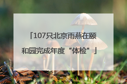 107只北京雨燕在颐和园完成年度“体检”