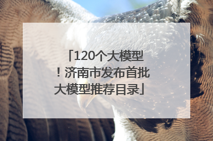 120个大模型！济南市发布首批大模型推荐目录