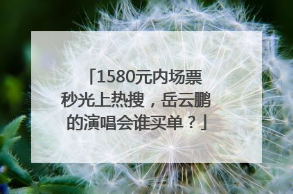 1580元内场票秒光上热搜，岳云鹏的演唱会谁买单？