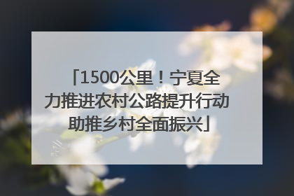 1500公里！宁夏全力推进农村公路提升行动 助推乡村全面振兴