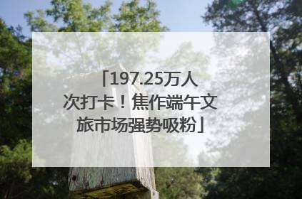 197.25万人次打卡！焦作端午文旅市场强势吸粉