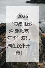 2025“浪漫北部湾 潮派嘉年华”欢乐周在钦州开幕