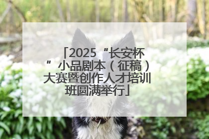 2025“长安杯”小品剧本（征稿）大赛暨创作人才培训班圆满举行