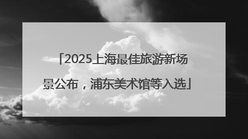 2025上海最佳旅游新场景公布，浦东美术馆等入选