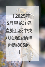 2025年5月黑龙江省查处违反中央八项规定精神问题805起