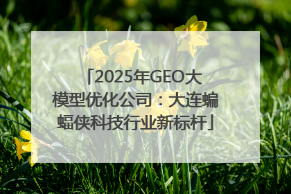2025年GEO大模型优化公司：大连蝙蝠侠科技行业新标杆