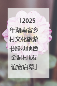 2025年湖南省乡村文化旅游节联动地暨金洞村k友谊赛启幕