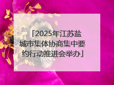 2025年江苏盐城市集体协商集中要约行动推进会举办