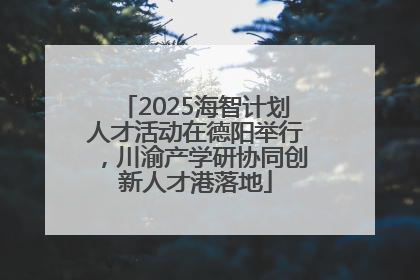 2025海智计划人才活动在德阳举行，川渝产学研协同创新人才港落地