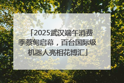 2025武汉端午消费季蔡甸启幕，百台国际级机器人亮相花博汇