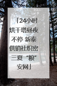 24小时烘干塔昼夜不停 新泰供销社织密三夏“粮”安网