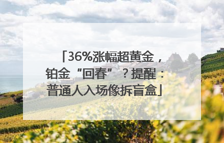 36%涨幅超黄金，铂金“回春”？提醒：普通人入场像拆盲盒