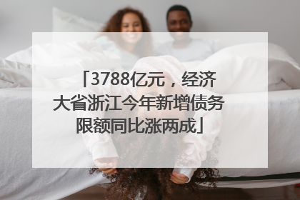 3788亿元，经济大省浙江今年新增债务限额同比涨两成